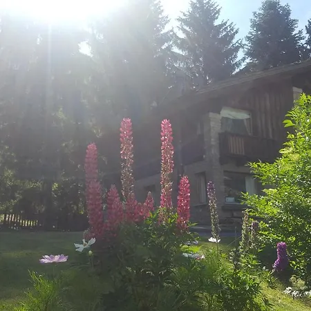 Chalet Blanc 